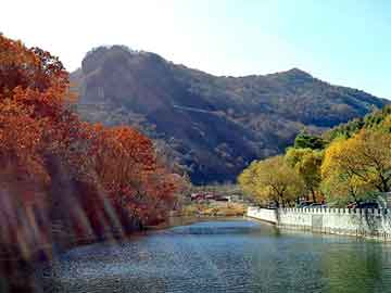 亚洲日韩在线这里，孔雀神木